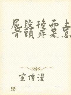 屁股后面上面的骨头疼是怎么回事封面