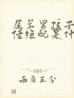 属羊男孩子的最佳绝配是什么属相