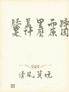 膝盖里面蹲起疼是什么原因