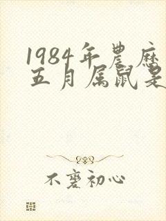 1984年农历五月属鼠是什么命