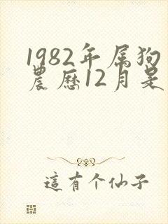 1982年属狗农历12月是什么命