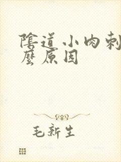 阴道小肉刺是什么原因