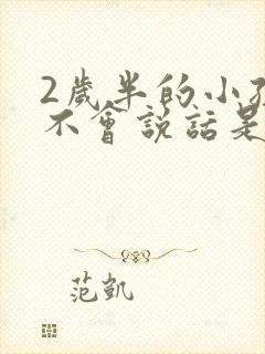 2岁半的小孩还不会说话是怎么了