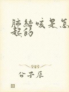 肺结咳是怎么引起的