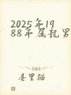 2025年1988年属龙男人的运势