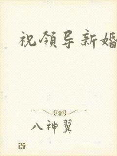 祝领导新婚快乐