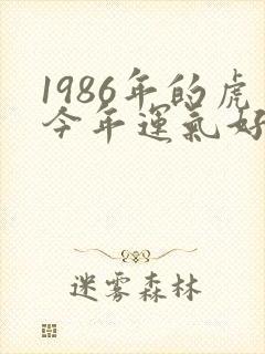 1986年的虎今年运气好不好