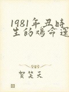 1981年丑时生的鸡命运
