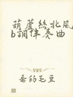 葫芦丝北风吹降b调伴奏曲