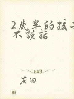 2岁半的孩子仍不说话