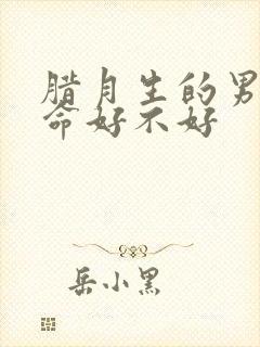 腊月生的男孩子命好不好