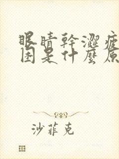 眼睛干涩疲劳犯困是什么原因封面