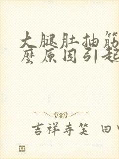 大腿肚抽筋是什么原因引起的