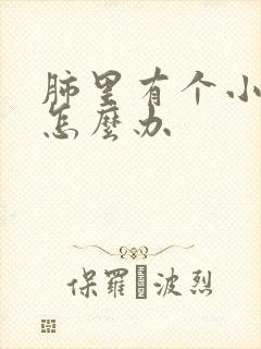 肺里有个小结节怎么办封面