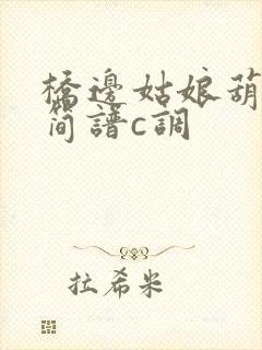 桥边姑娘葫芦丝简谱c调封面