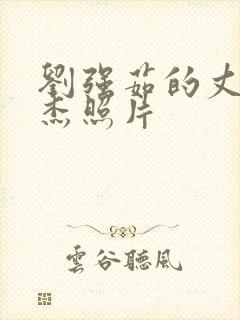 刘强茹的丈夫徐杰照片