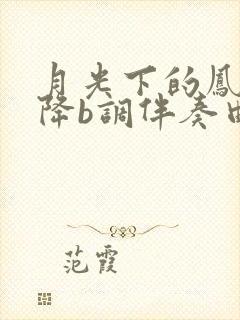 月光下的凤尾竹降b调伴奏曲伴奏