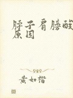 脖子肩膀酸痛啥原因