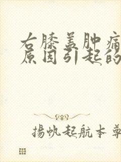 右膝盖肿痛什么原因引起的