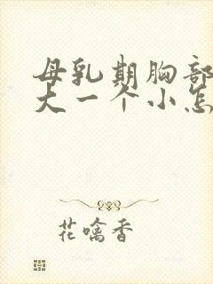 母乳期胸部一个大一个小怎么办