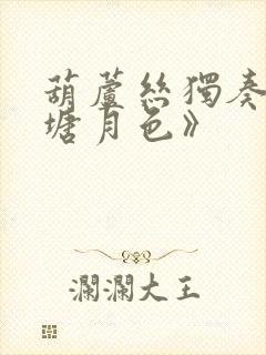 葫芦丝独奏《荷塘月色》