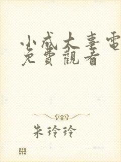 小成大事电视剧免费观看