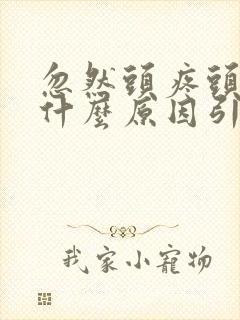 忽然头疼头晕是什么原因引起的