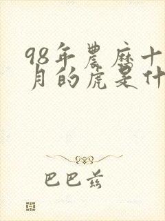 98年农历十一月的虎是什么命