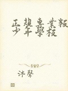 正规专业叛逆青少年学校