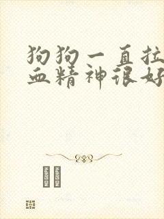 狗狗一直拉稀带血精神很好