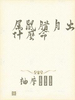 属鼠腊月出生是什么命