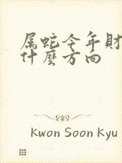 属蛇今年财运在什么方向