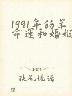 1991年的羊命运和婚姻怎样