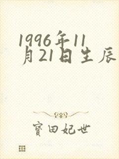 1996年11月21日生辰八字