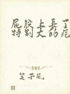 屁股上长了一个特别大的疙瘩封面