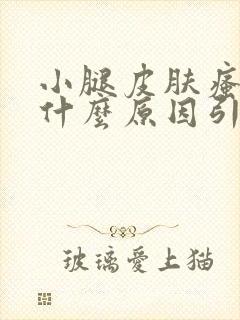 小腿皮肤瘙痒是什么原因引起的