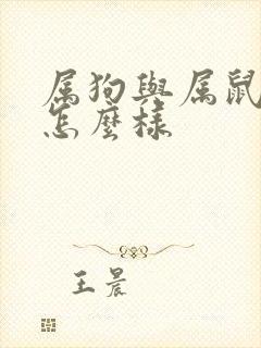 属狗与属鼠姻缘怎么样