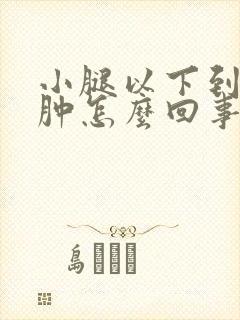 小腿以下到脚浮肿怎么回事