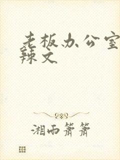 老板办公室系列辣文