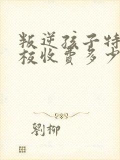 叛逆孩子特训学校收费多少