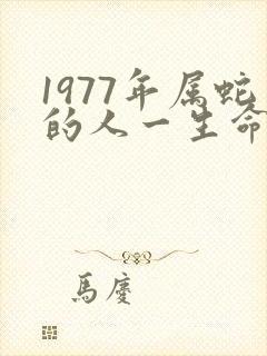 1977年属蛇的人一生命运如何封面