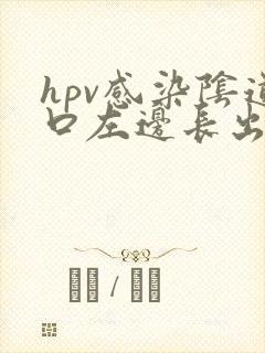 hpv感染阴道口左边长出长条淡粉色肉