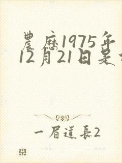 农历1975年12月21日是什么命封面