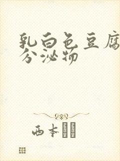 乳白色豆腐渣样分泌物封面