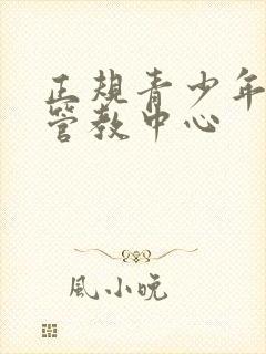 正规青少年叛逆管教中心