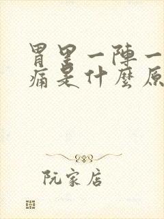 胃里一阵一阵的痛是什么原因封面