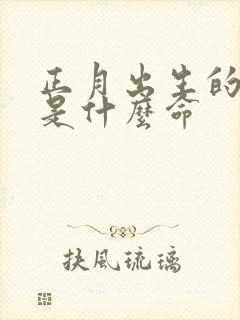 正月出生的男孩是什么命