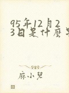 95年12月23日是什么星座封面