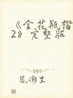 《金花瓶楷梅花2》完整版