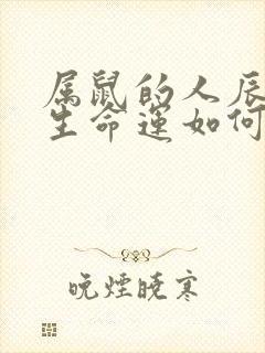 属鼠的人辰时出生命运如何